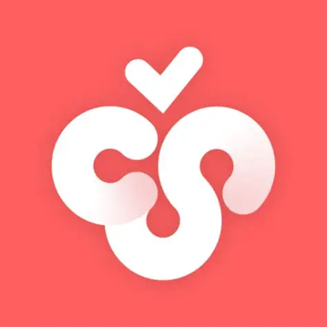 Cherry Studio - 全能的 AI 助手